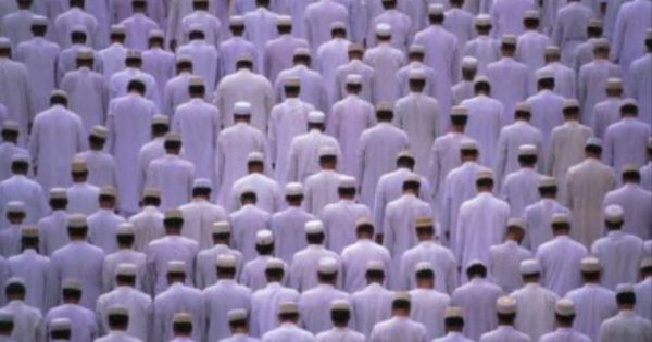 550210769_1331833831660899_6056690626492342789_n